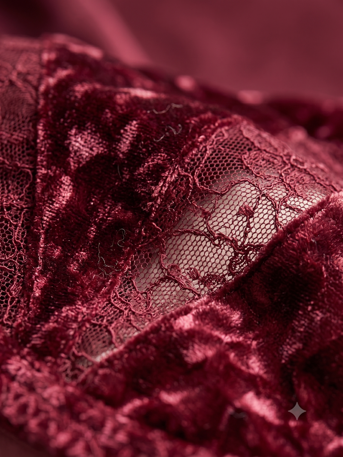 Karavya Burgundy Lace Bra & Panty Set